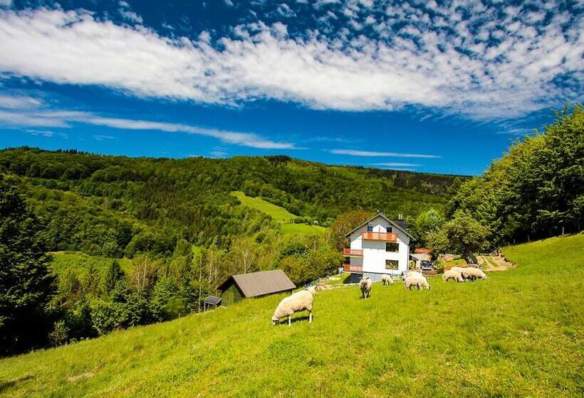 膳宿费 Willa Pod Bukami