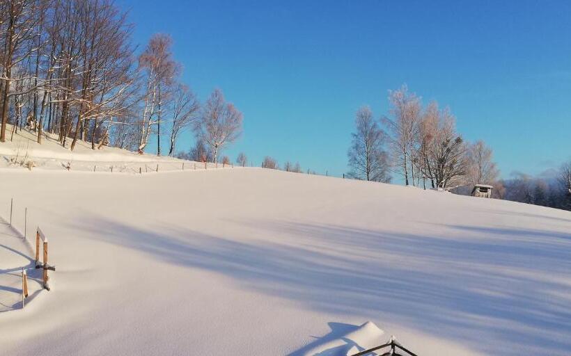 膳宿费 Willa Pod Bukami