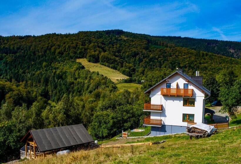 膳宿费 Willa Pod Bukami