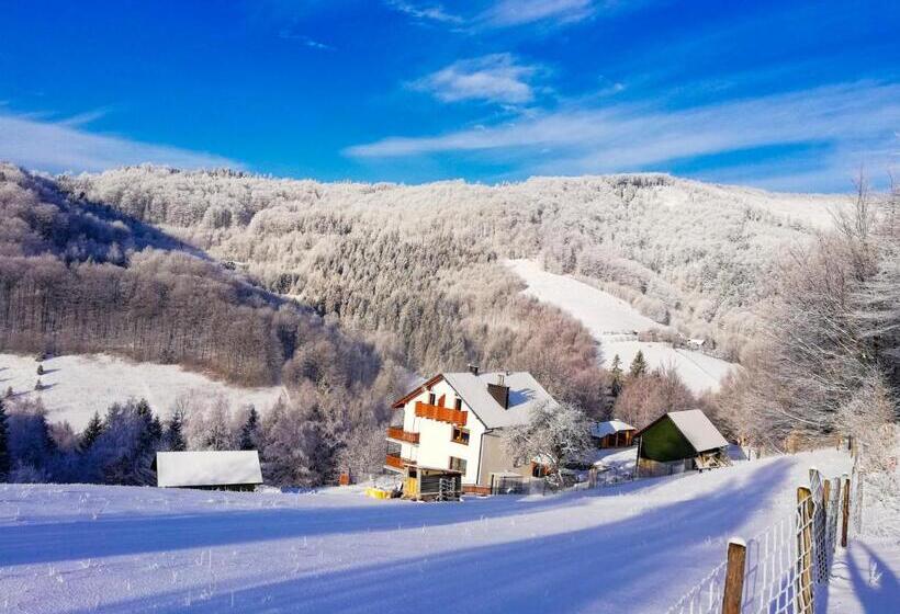 膳宿费 Willa Pod Bukami