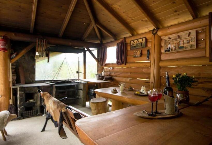 膳宿费 Willa Pod Bukami