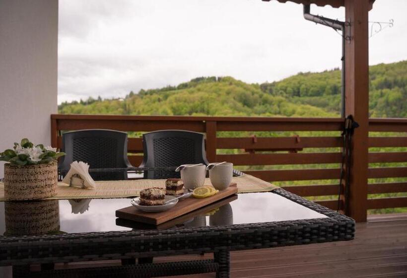 膳宿费 Willa Pod Bukami