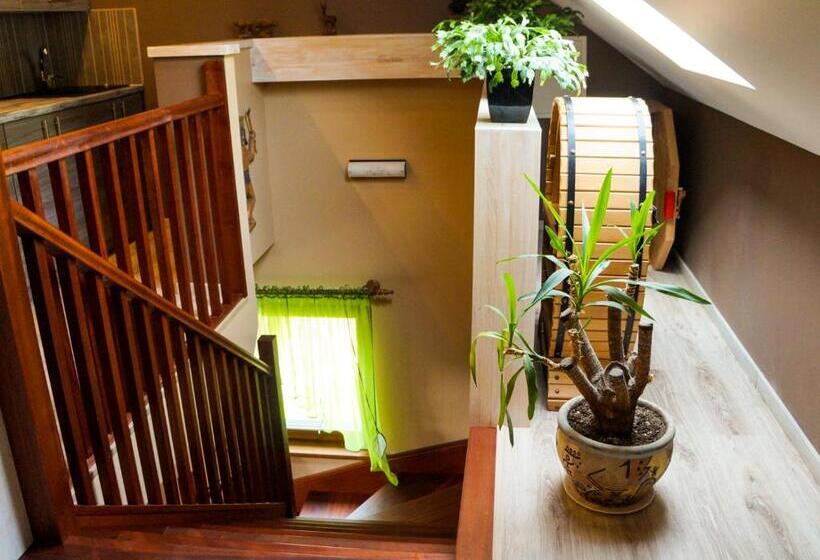 膳宿费 Willa Pod Bukami