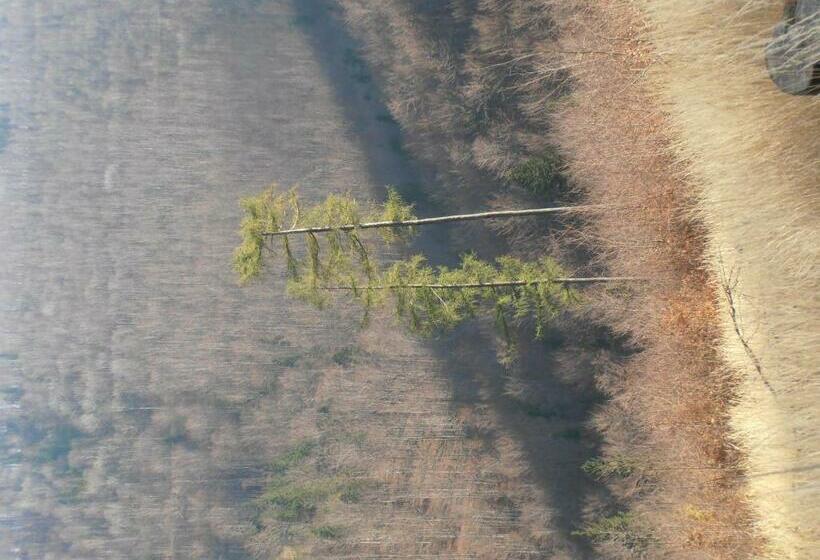 פנסיון Willa Rufina