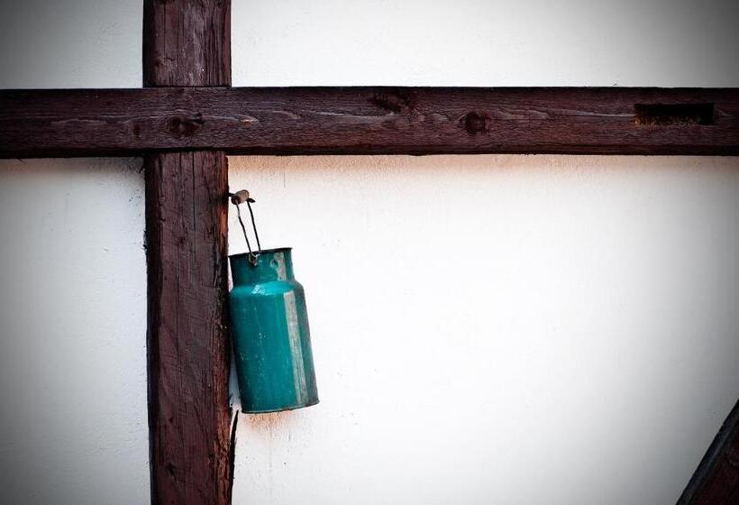 פנסיון Willa Rufina