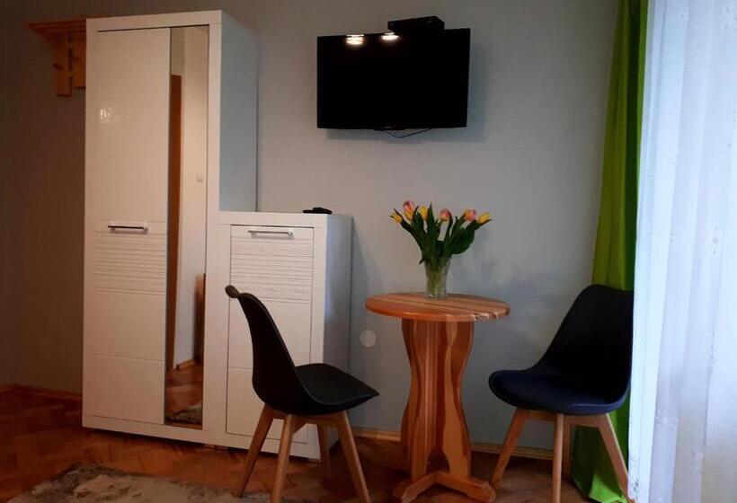 פנסיון Willa Widokowa Zakopane