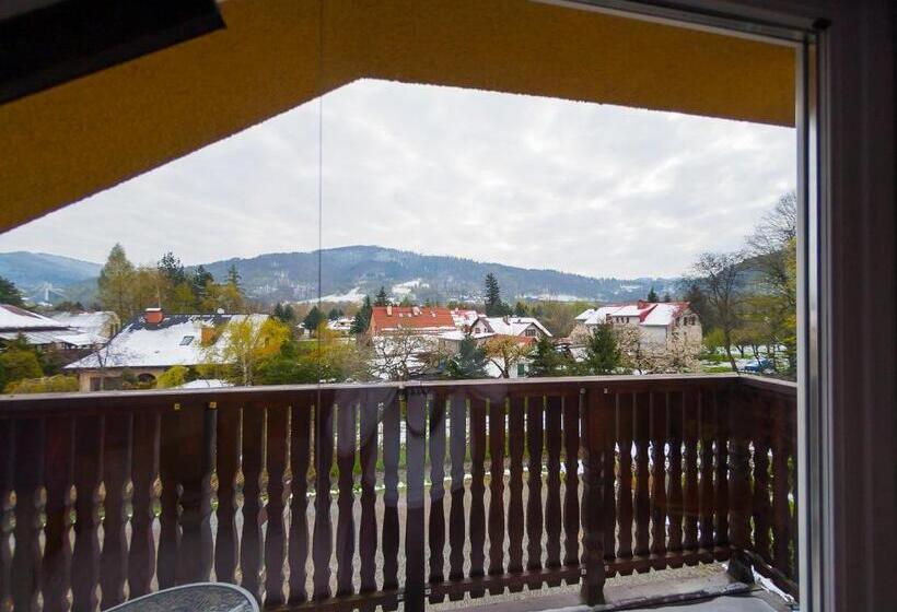 پانسیون Willa Zacisze