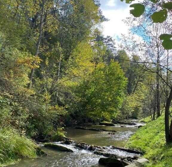 Пансион Zagroda Berezanka