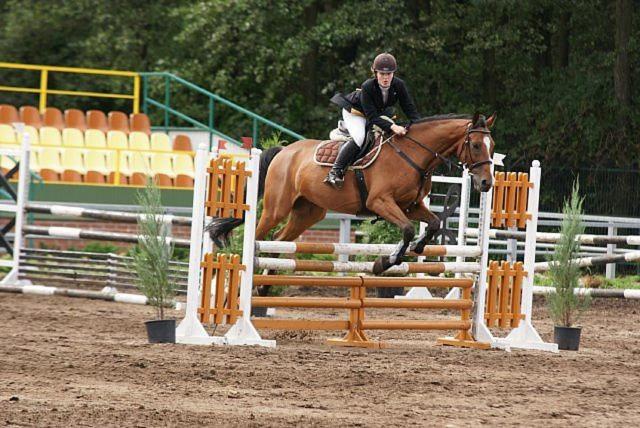 Pensjonat I Klub Jeździecki Michelin