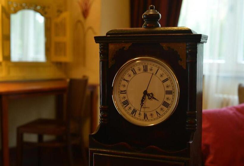 Pensjonat Willa W Parku