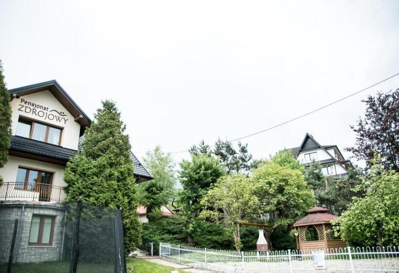 Pensjonat Zdrojowy