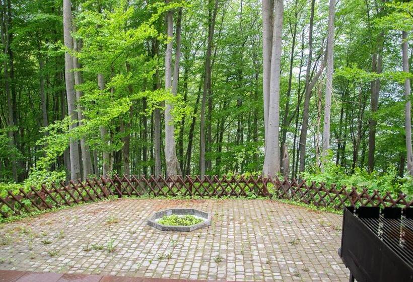 リゾートホテル Rewita Solina