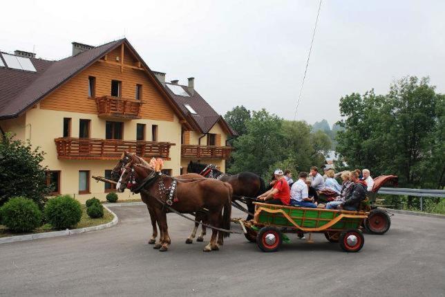 Курорт Willa Helvetia Wellness & Spa