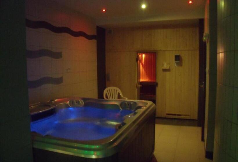 渡假胜地  Willa Helvetia Wellness & Spa