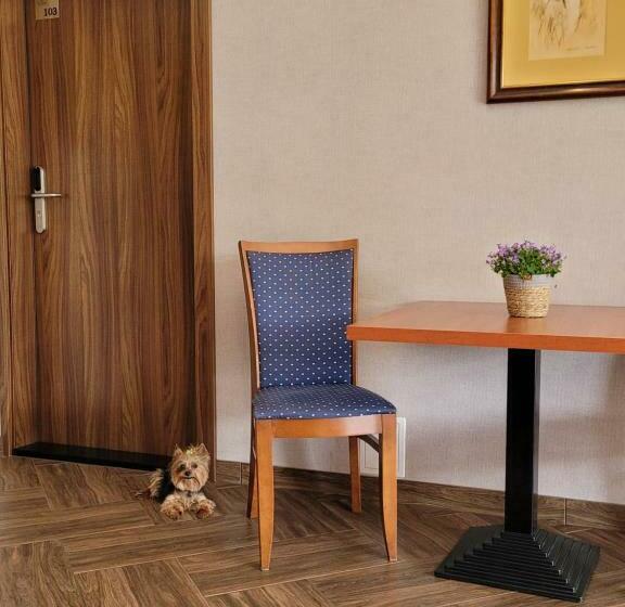 Virgo B&b Biznes Rumia