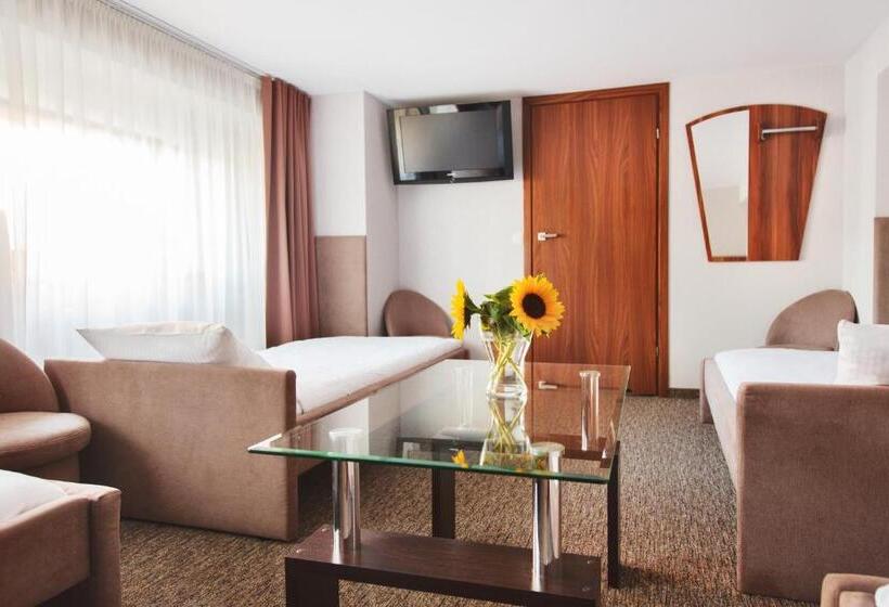 旅馆 Ik B&b Pod Dębami