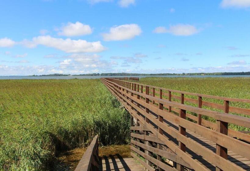 Bed and Breakfast Avila Park & Spa