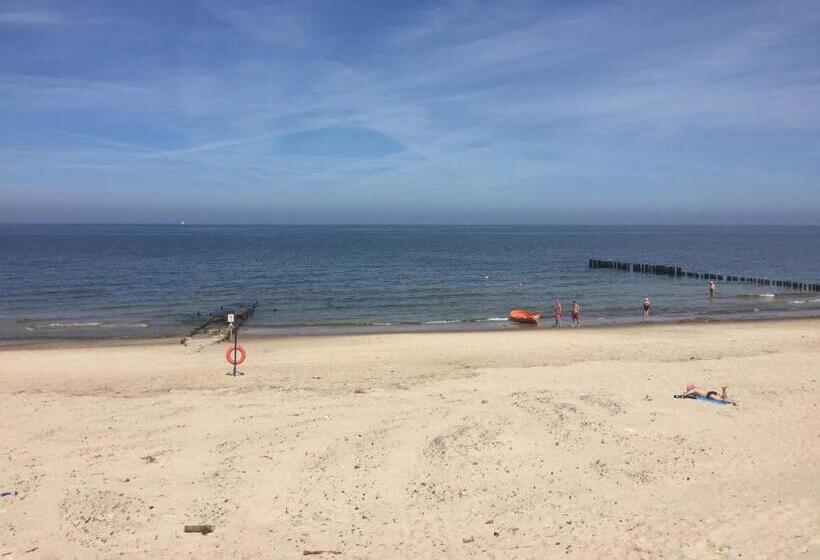 Bed and Breakfast Avila Park & Spa