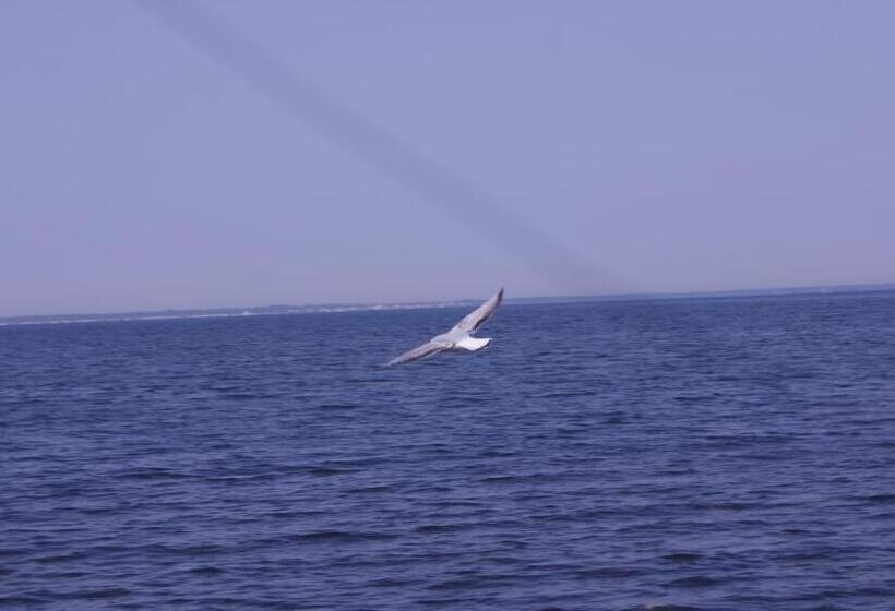 تختخواب و صبحانه Bakster