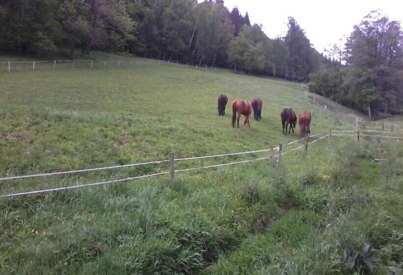 ベッドアンドブレックファースト Canal Grande