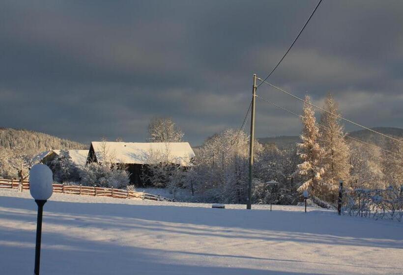 تختخواب و صبحانه Dom Na Klonowym Wzgórzu