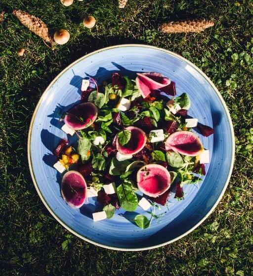 تختخواب و صبحانه An Son Apartamenty