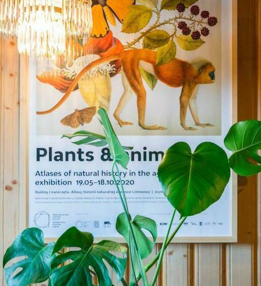 مبيت وإفطار Leśniczówka U Zięby