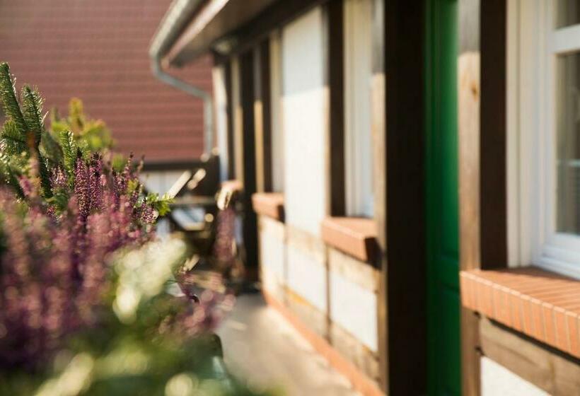 تختخواب و صبحانه Mistral Ustka