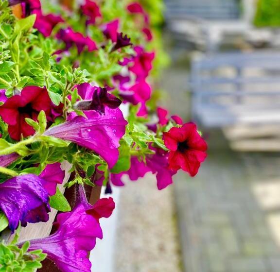 Bed and Breakfast Old Tree Home & Restaurant