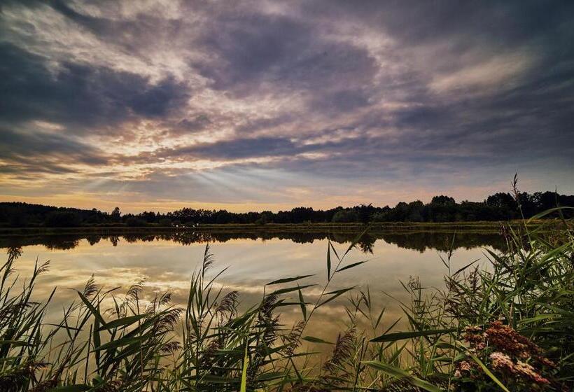 مبيت وإفطار Rancho