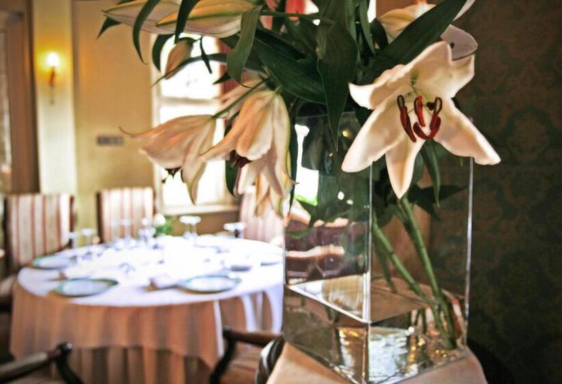 住宿加早餐 Rezydencja Willa Park & Restauracja