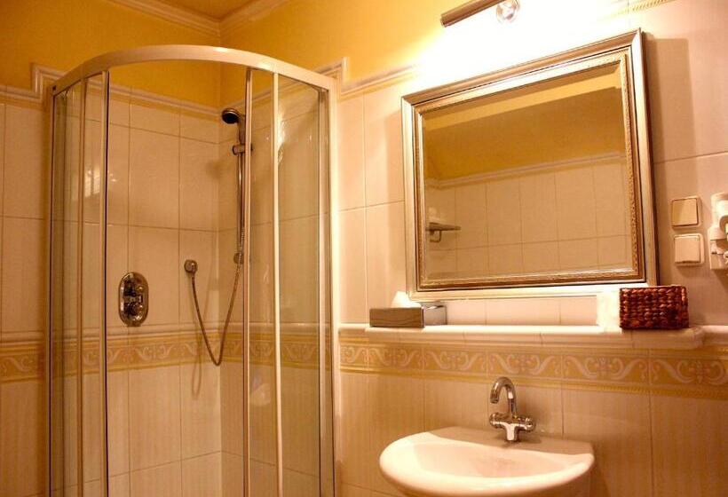 住宿加早餐 Rezydencja Willa Park & Restauracja