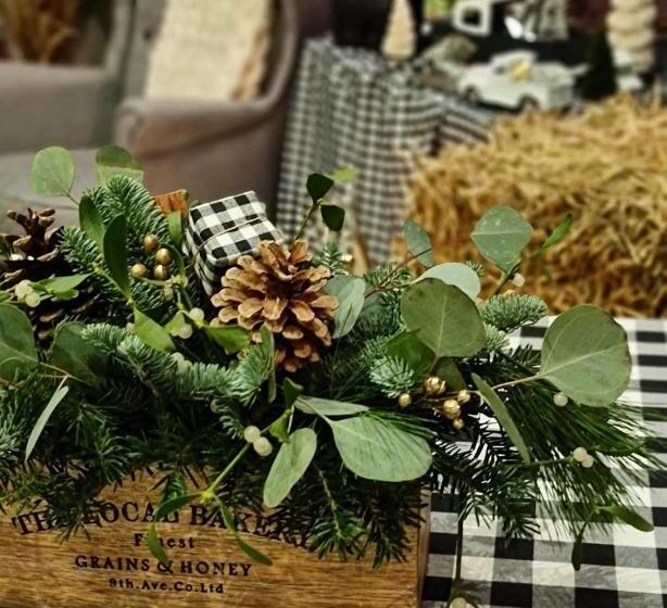 Bed and Breakfast Silverton Sauna,jacuzzi,mini Siłownia,bar Sezonowy, Przyjazny Rodzinom