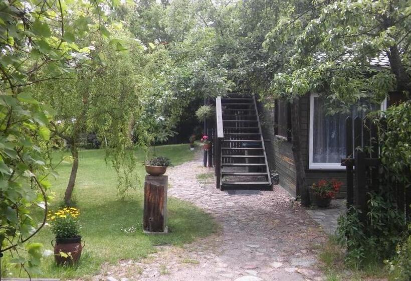 Bed and Breakfast Stary Dom