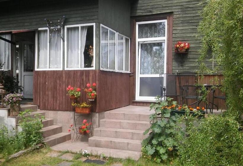 Bed and Breakfast Stary Dom