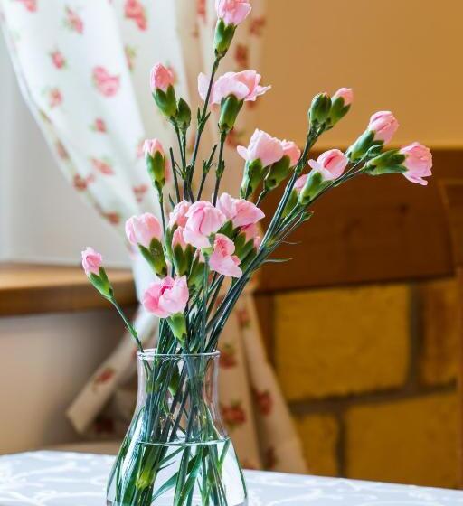 تختخواب و صبحانه Villa Cynamon