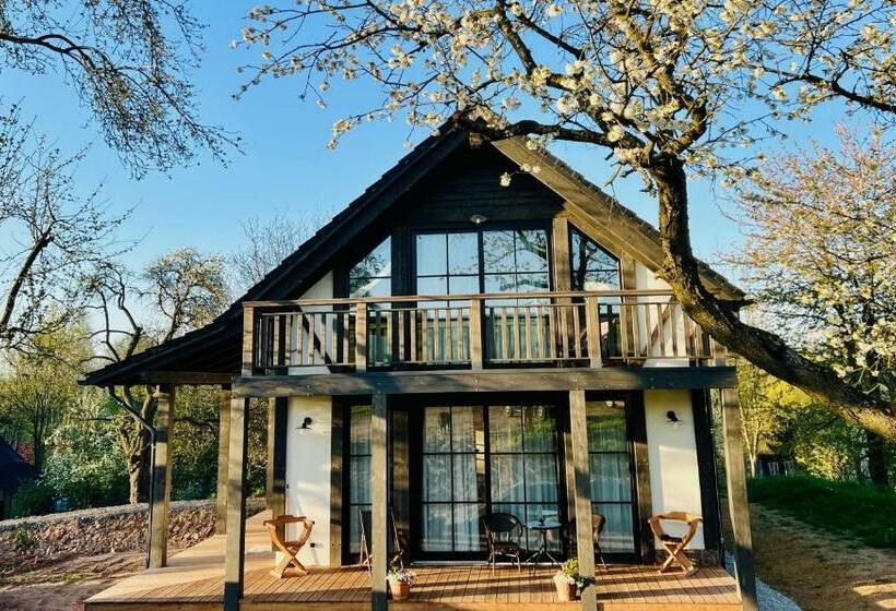 住宿加早餐 Villa Greta