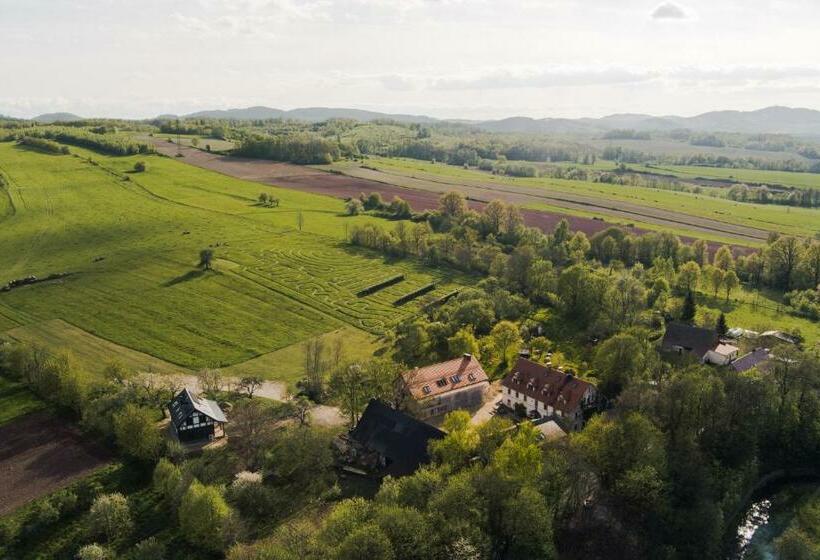 住宿加早餐 Villa Greta