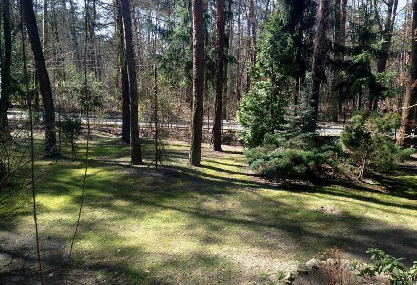 تختخواب و صبحانه Villa Le Matin