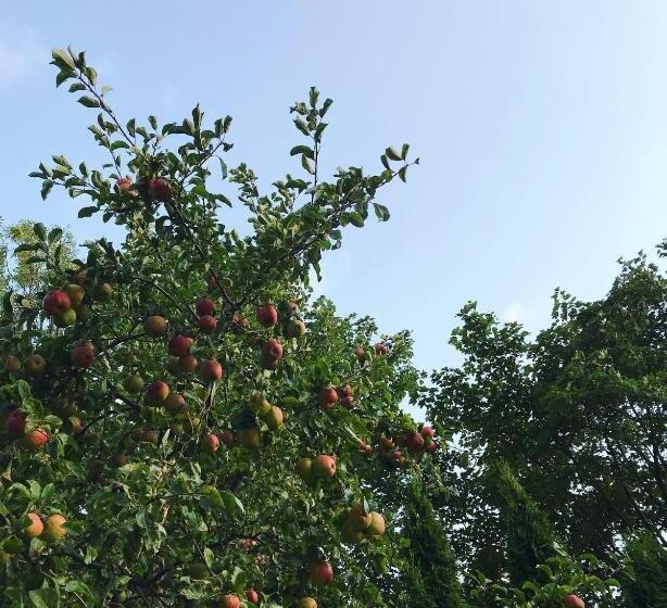 تختخواب و صبحانه Willa A.d.1894