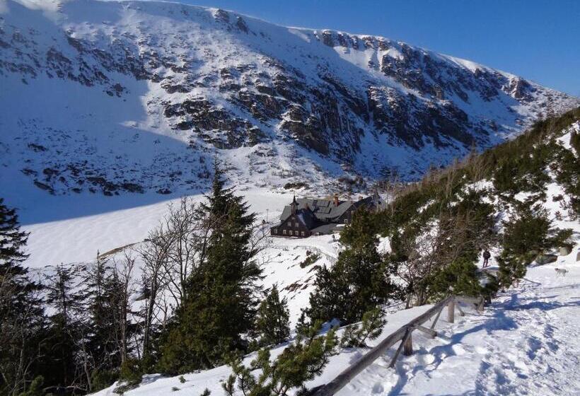 تختخواب و صبحانه Willa Grafit