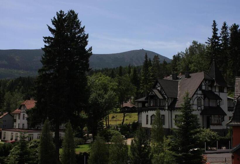 Bed and Breakfast Willa Grafit