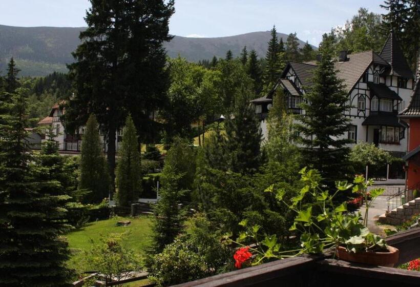 تختخواب و صبحانه Willa Grafit