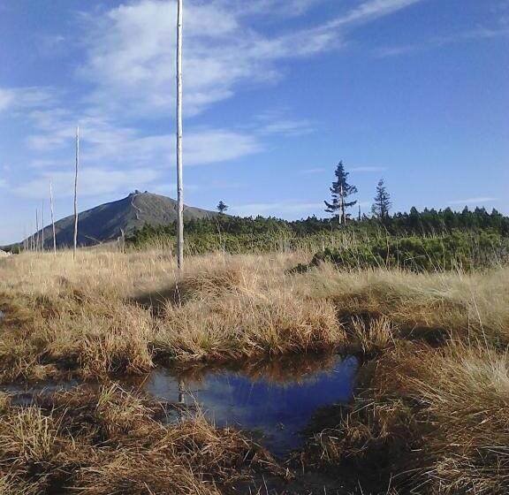 Bed and Breakfast Willa Grafit