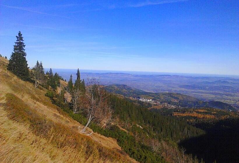 Bed and Breakfast Willa Grafit