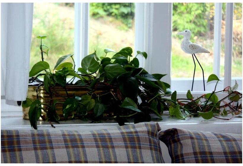 تختخواب و صبحانه Willa Ludwinia