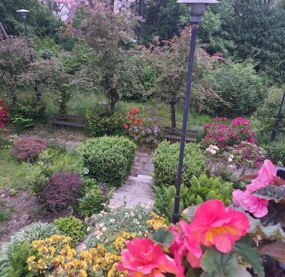 ベッドアンドブレックファースト Willa Marysin