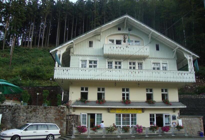 צימר Willa Millennium