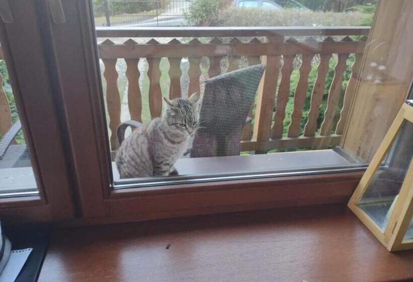 تختخواب و صبحانه Willa Panorama Spa