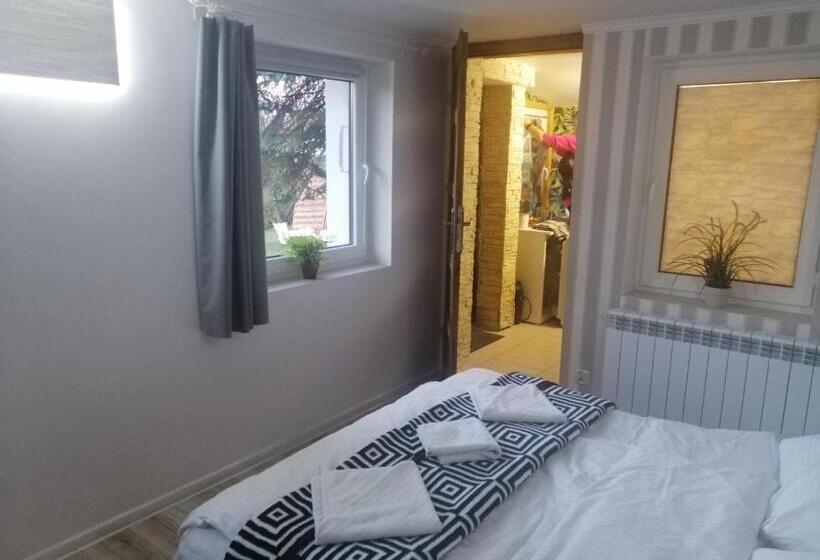 تختخواب و صبحانه Willa Panorama Spa